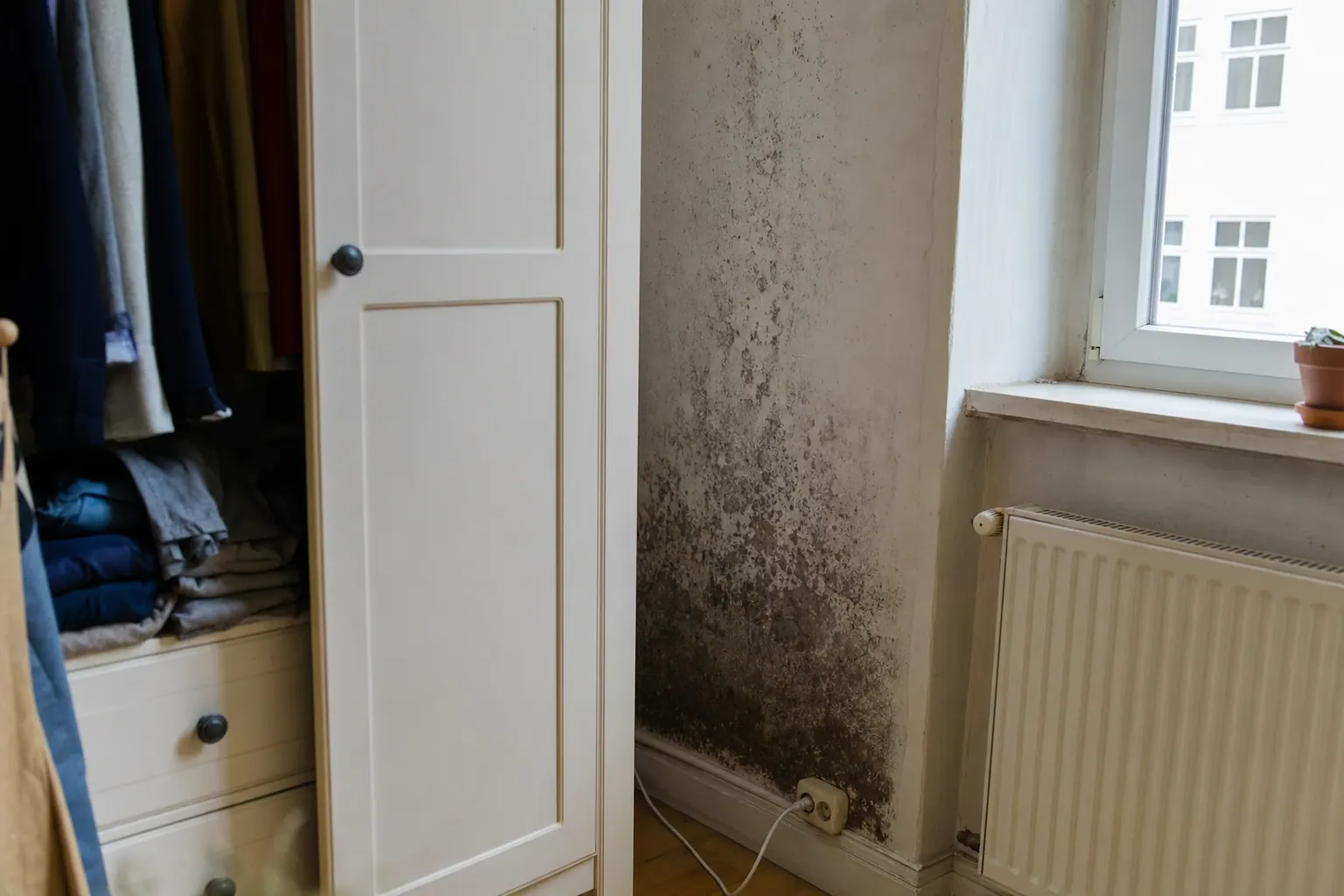 Grauer Schimmelfleck hinter einem Kleiderschrank an einer ungedämmten Außenwand in einer Altbauwohnung